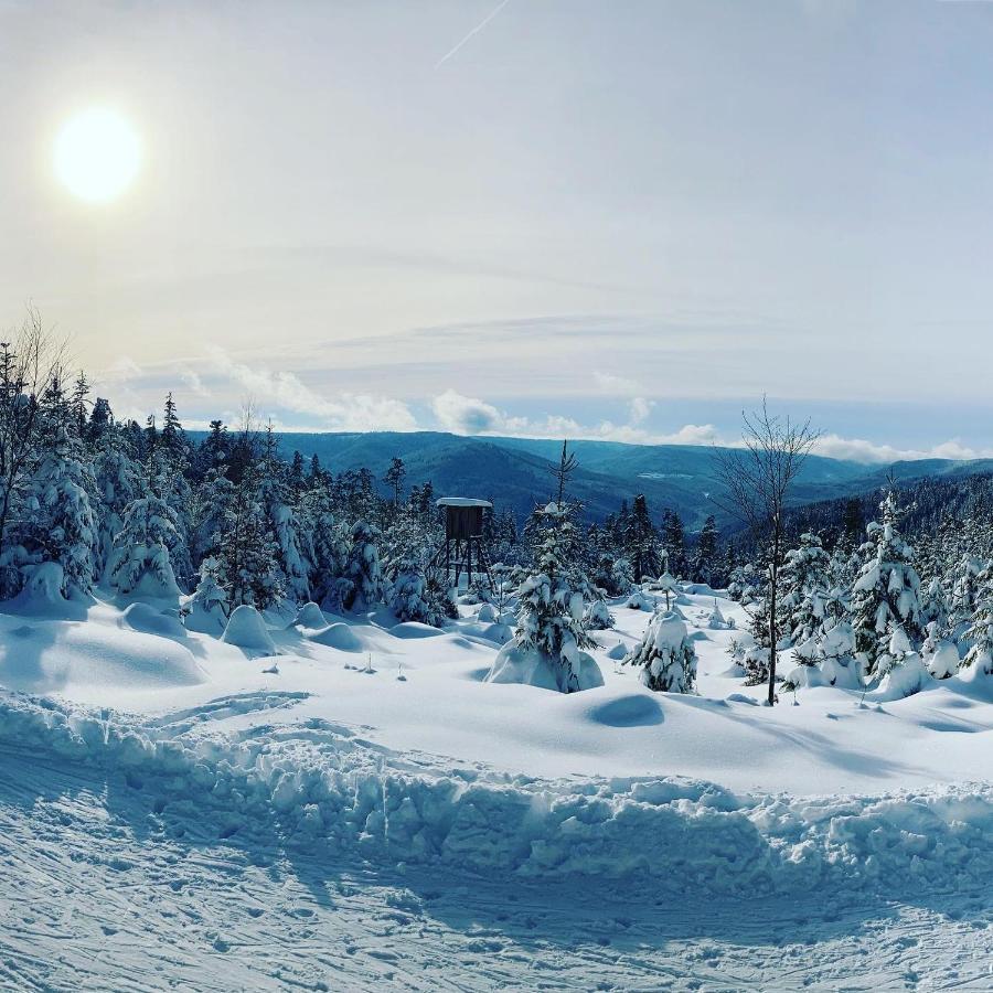 Schwarzwaldhotel Oberwiesenhof Seewald Екстериор снимка